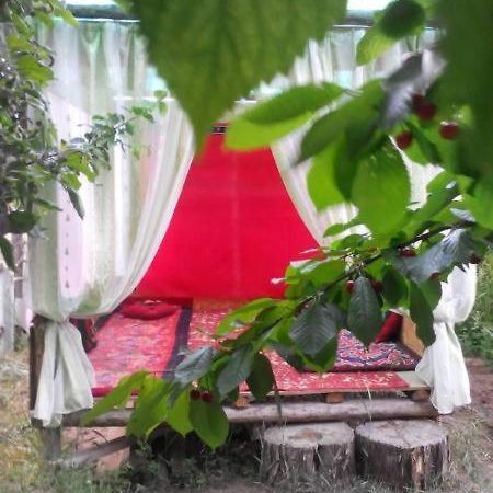 Guest House Dinara Kaji-Say Ngoại thất bức ảnh